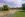 tree-3186615_1920